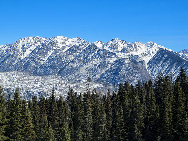 mountain range, blauen himmel und die immergrünen bäumen - durango beauty in nature colorado evergreen tree stock-fotos und bilder