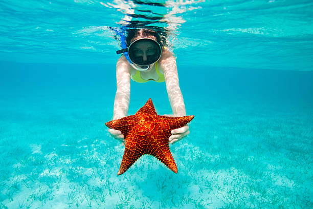 istock Young woman holding a giant starfish 468960139