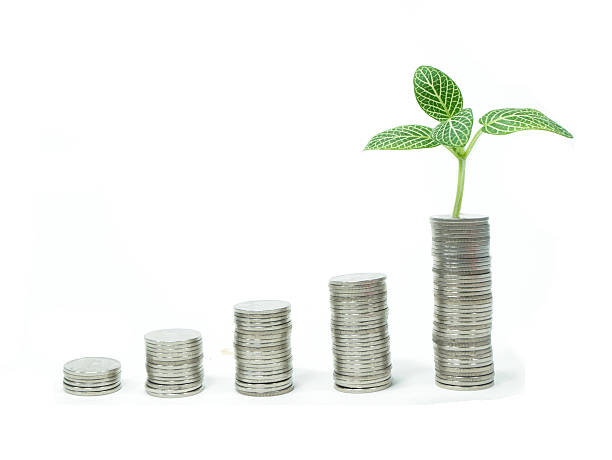 istock Stacks of coins and a young plant 468960347