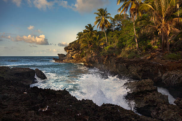 istock Coastline with Rocks and Palm Trees 468960725