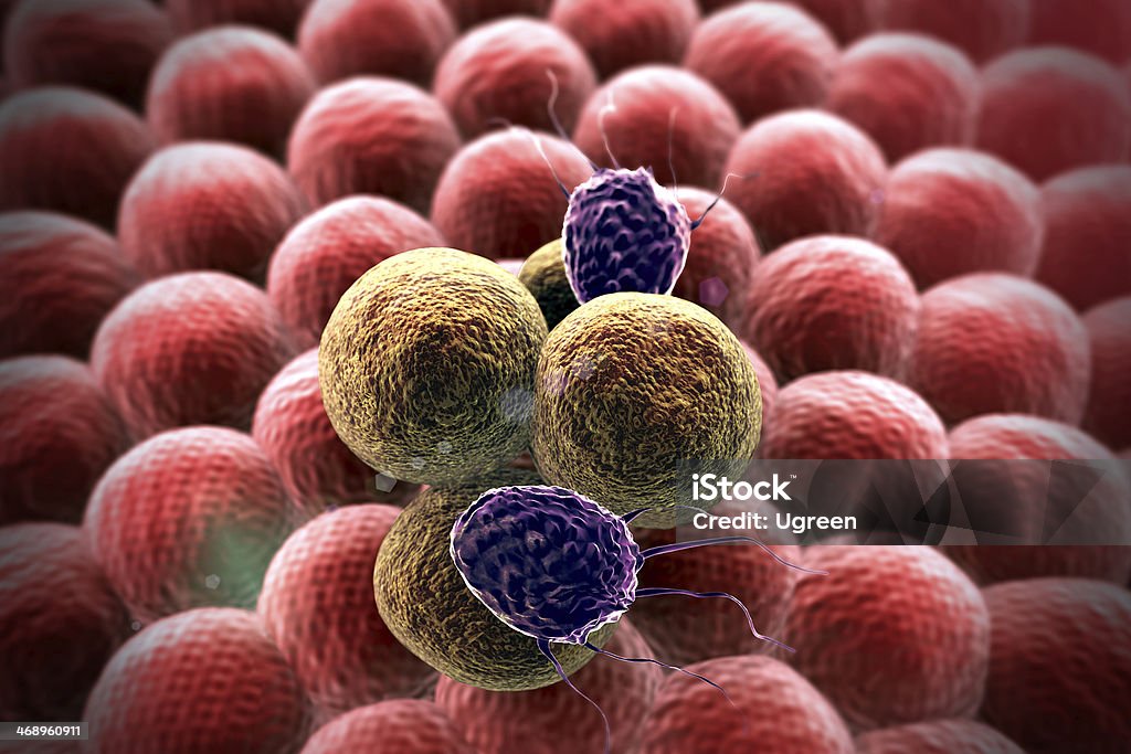 cancer cell, Fagocyte 3d rendered cancer cell, Clusters of cells, Cancer cell and Lymphocytes, T-lymphocytes attack a migrating cancer cell, Cancer cell attacked by lymphocytes Cancer - Illness Stock Photo