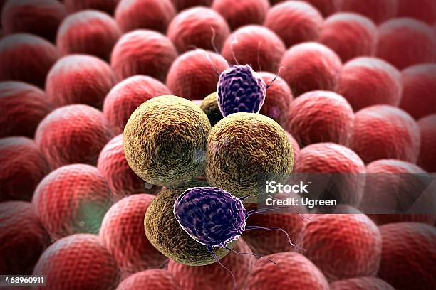 Cancer Cell Fagocyte Stock Photo - Download Image Now - Cancer - Illness, Mitosis, AIDS