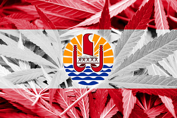 istock French Polynesia Flag on cannabis background. Drug policy. 468961076