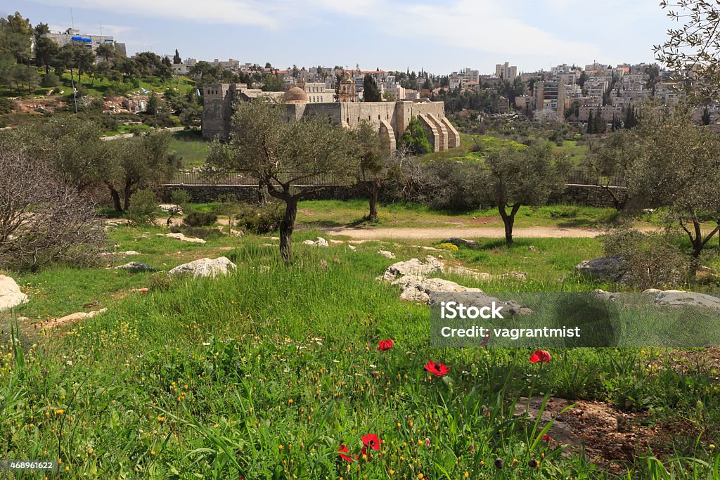 Medieval Orthodox monastery in a green valley near Jerusalem Red poppies in front of the Monastery of the Cross in Jerusalem 2015 Stock Photo