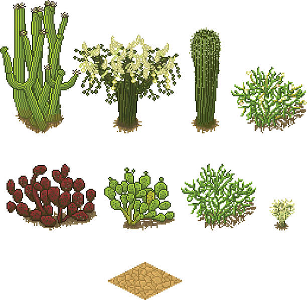ilustrações, clipart, desenhos animados e ícones de vetor isometric jogo situado em estilo da arte de pixels - sonoran desert illustrations