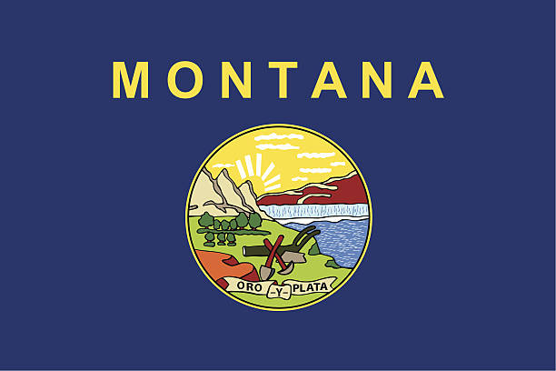 флаг монтана - montana stock illustrations