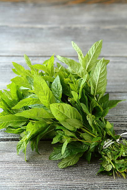 istock Bunch of mint on wooden boards 468965452
