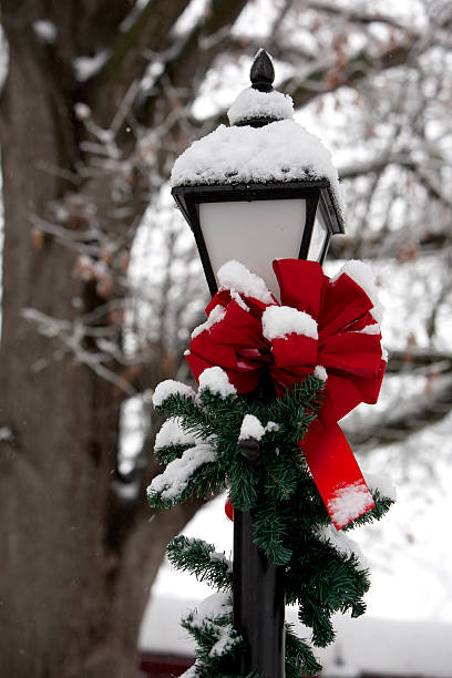 istock lampost in the winter woods 468965853