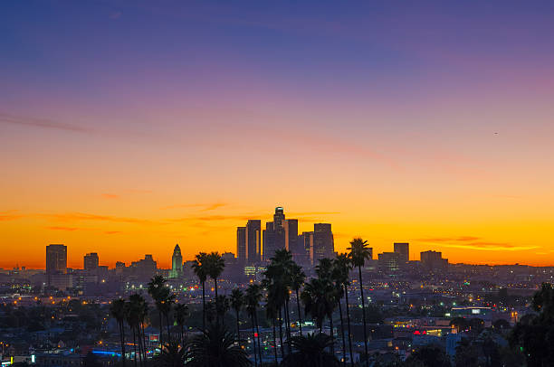 istock Los Angeles sunset with skyline and palm trees, wide angle 468967422