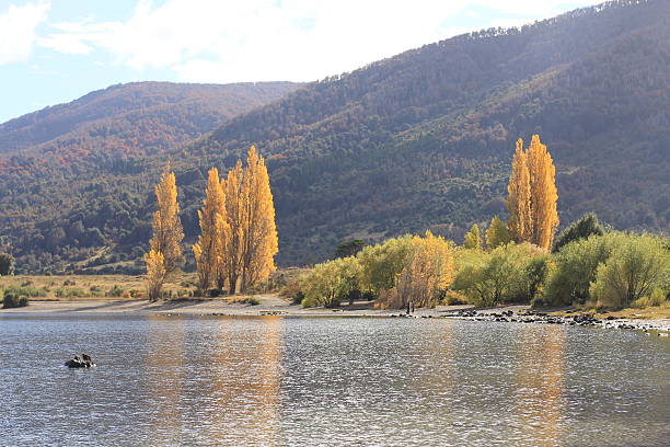 lago en otoño - neuquén fotografías e imágenes de stock