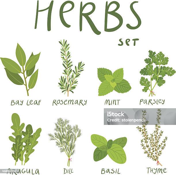 Herbs Stock Illustration - Download Image Now - Basil, Illustration, Mint Leaf - Culinary