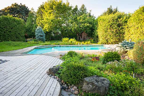 istock Garden with bushes and swimming pool in backyard 468976534