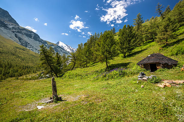 istock Altay Altai the way Beluha 468976641