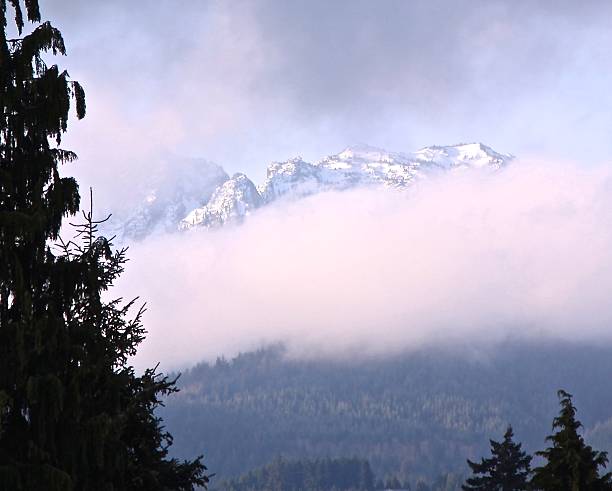 istock Peek-A-Boo Look At The Olympic Mountains 468976754