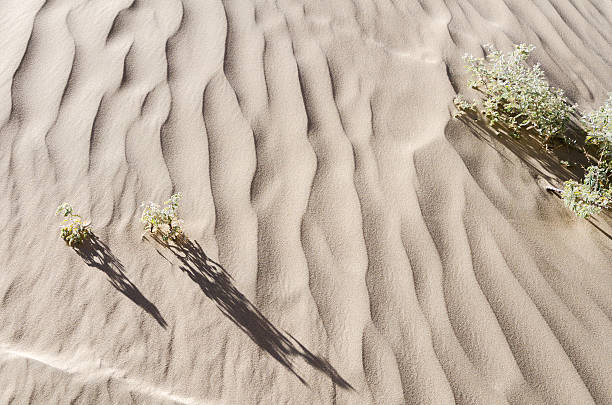 Sand texture stock photo