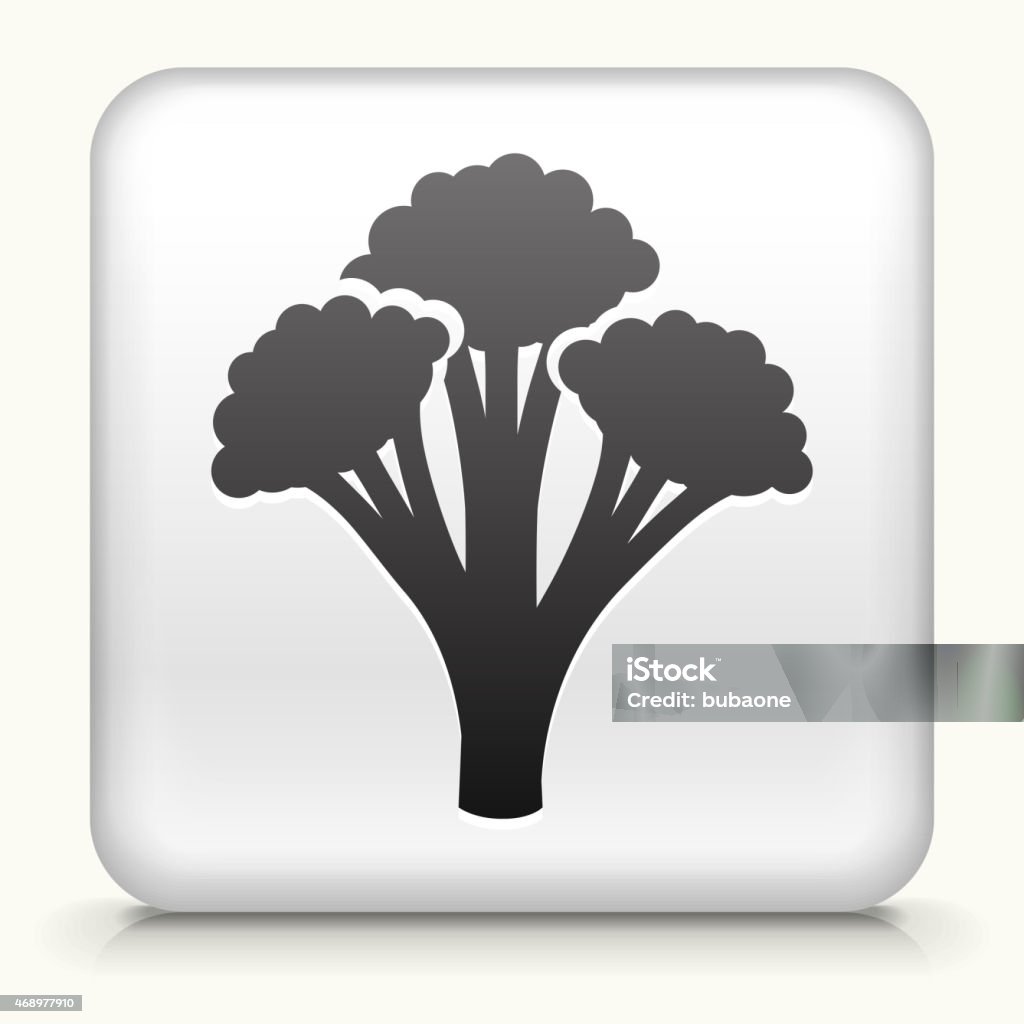 Royalty free vector icon button with Broccoli Icon Royalty free vector icon. The black interface icon is on a simple white Background. Button has a bevel effect and a light shadow. 100% royalty free vector file and can be easily modified, icon download comes with vector graphic and jpg file. White Square Button with Broccoli Icon 2015 stock vector