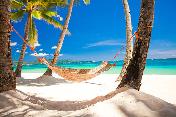 istock Straw hammock in the shadow of palm on tropical beach 468979963