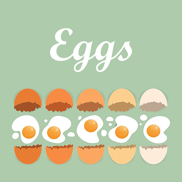 pęknięty jajka z organicznych tytuł na zielonym tle - healthcare and medicine backgrounds eggs animal egg stock illustrations