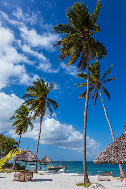istock Palm beach of Mafia Island 468980219