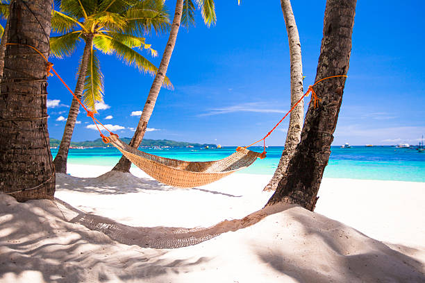 istock View of cozy straw hammock on the tropical white beach 468980283