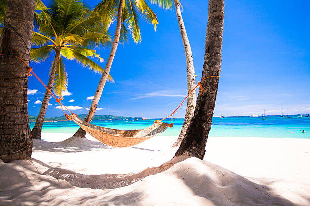 istock View of cozy straw hammock on the tropical white beach 468980875