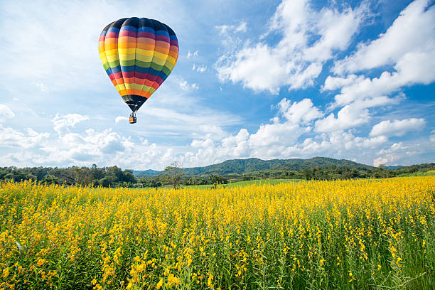 istock Hot air balloon over yellow flower fields against blue sky 468985466