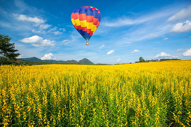istock Hot air balloon over yellow flower fields against blue sky 468985596