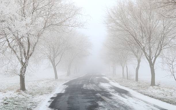 istock Foggy / frosty winter road with trees 468987320