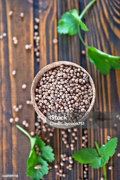 Coriander Stock Photo - Download Image Now - 2015, Aromatherapy, Bowl