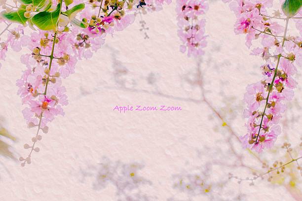 istock Pink flower on mulberry paper texture,blurry soft focus 468989340