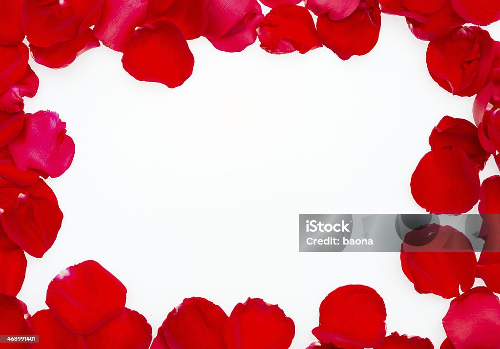 Rose petal frame Red rose petal frame with white copy space. Photography Stock Photo