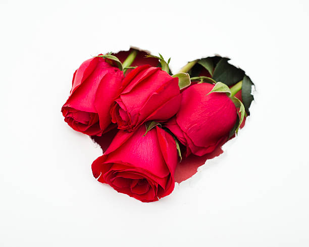 istock red roses and the paper hearts 468992437