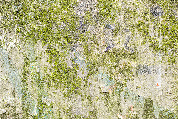 istock Background texture of weathered and grungy concrete wall 468995074