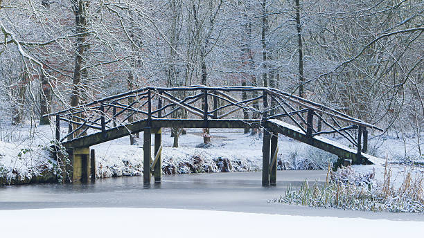 istock Wooden bridge covered in snow 468998183