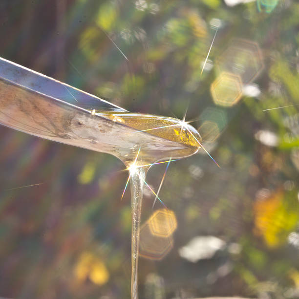 istock Drop of honey and spectra. 468999154
