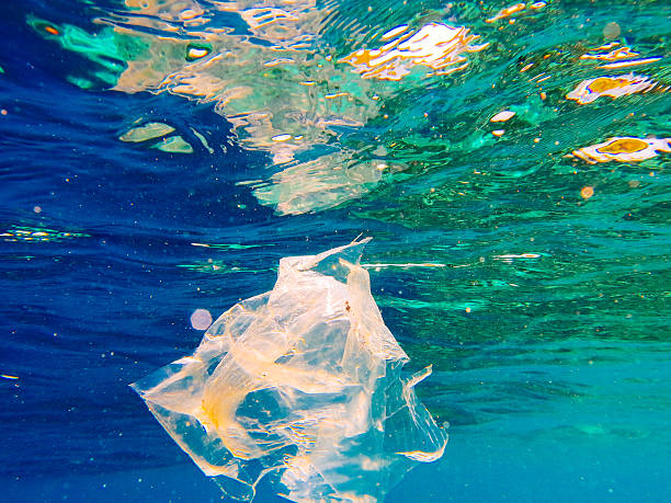 istock Plastic Bag Litter Underwater Environmental Social Issue 469000280