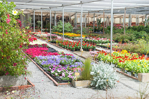istock Inside of garden center 469000902