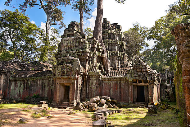 prasat ta prohm templo prum ou complexo, camboja. - ankor imagens e fotografias de stock