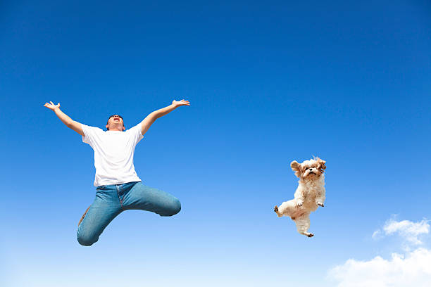 young man and dog jumping in the sky happy young man and dog jumping in the sky together air jump stock pictures, royalty-free photos & images