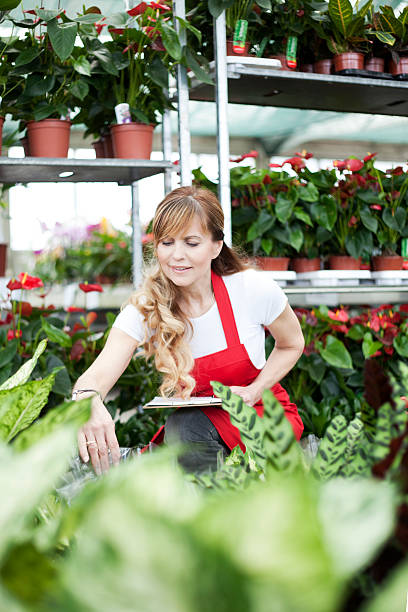 istock Women working at garden center 469019362