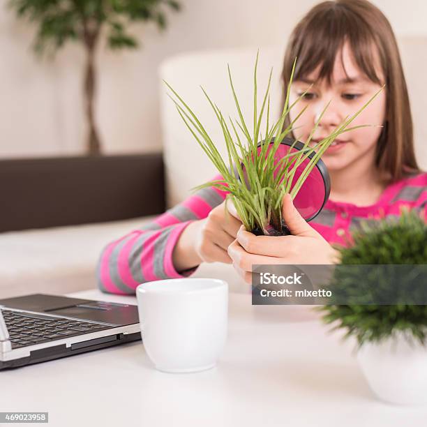 Discovering In Home Stock Photo - Download Image Now - Biology, Child, Girls