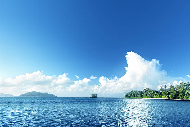 istock beach on La Digue island, Seychellas 469024990