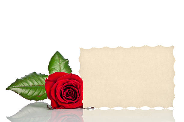 istock Red rose and blank gift card for text 469026442