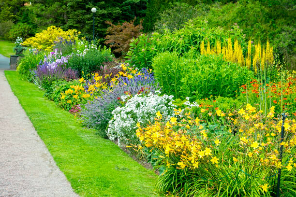 istock Big garden with beautiful flower beds 469027582