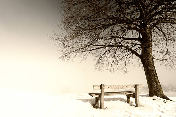 istock bench, foggy winter day 469027656