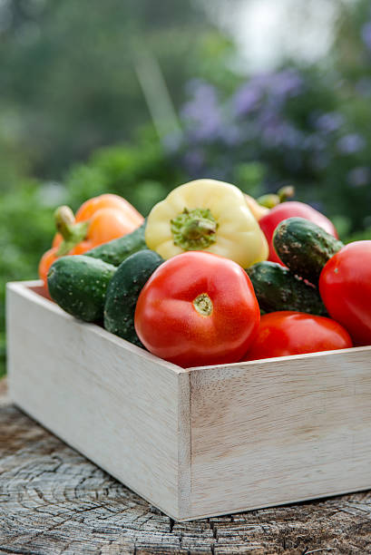 istock Wooden box with fresh vegetables (tomato, cucumber, bell pepper) 469032902