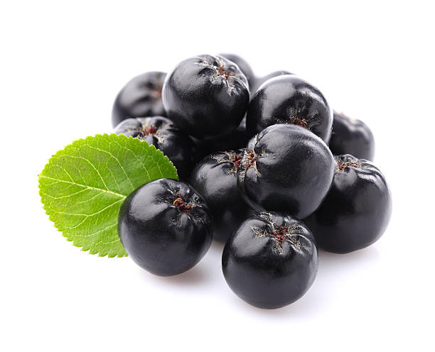 Chokeberry with leaf stock photo