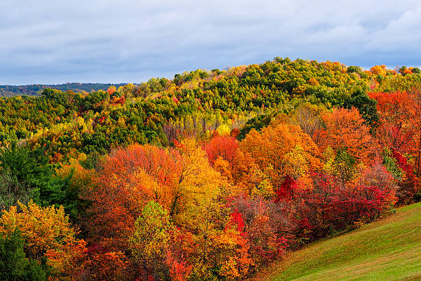 herbst farben in hocking hills, ohio  - autumn landscape hill tree stock-fotos und bilder