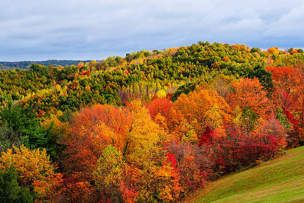 los colores del otoño en hocking hills, ohio - orange ohio fotografías e imágenes de stock