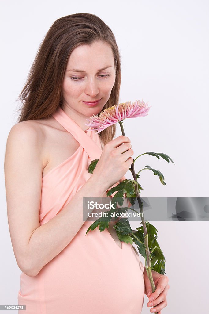 Young pregnant woman with  pink flower in hand Portrait of young pregnant woman with pink chrysanthemum in hand over white background. 2015 Stock Photo